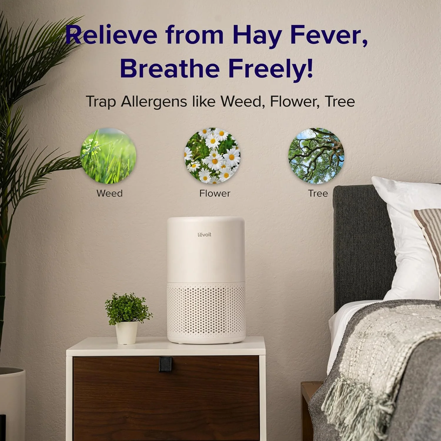 Levoit Core 200S Smart Air Purifier - Image 10
