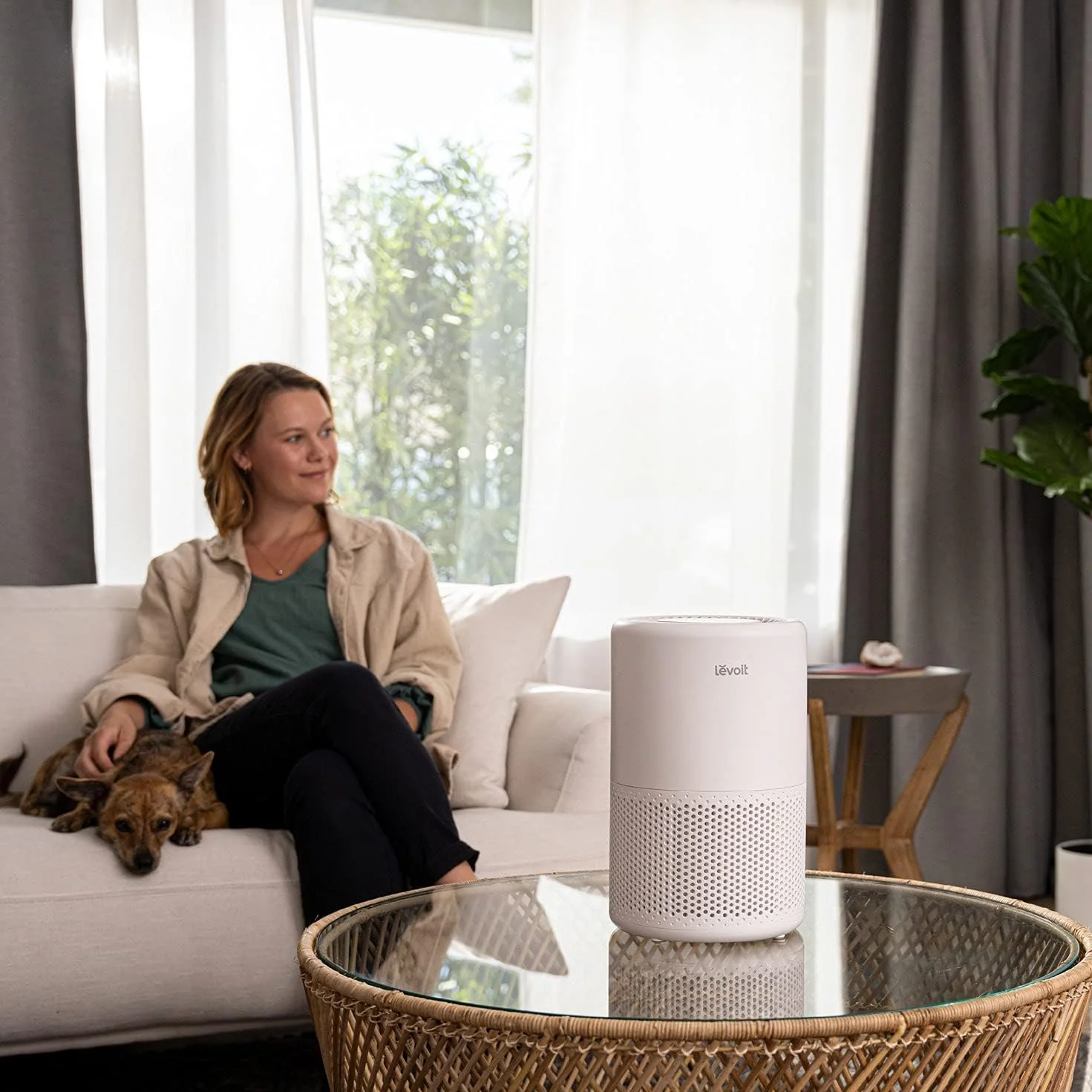 Levoit Core 200S Smart Air Purifier - Image 11