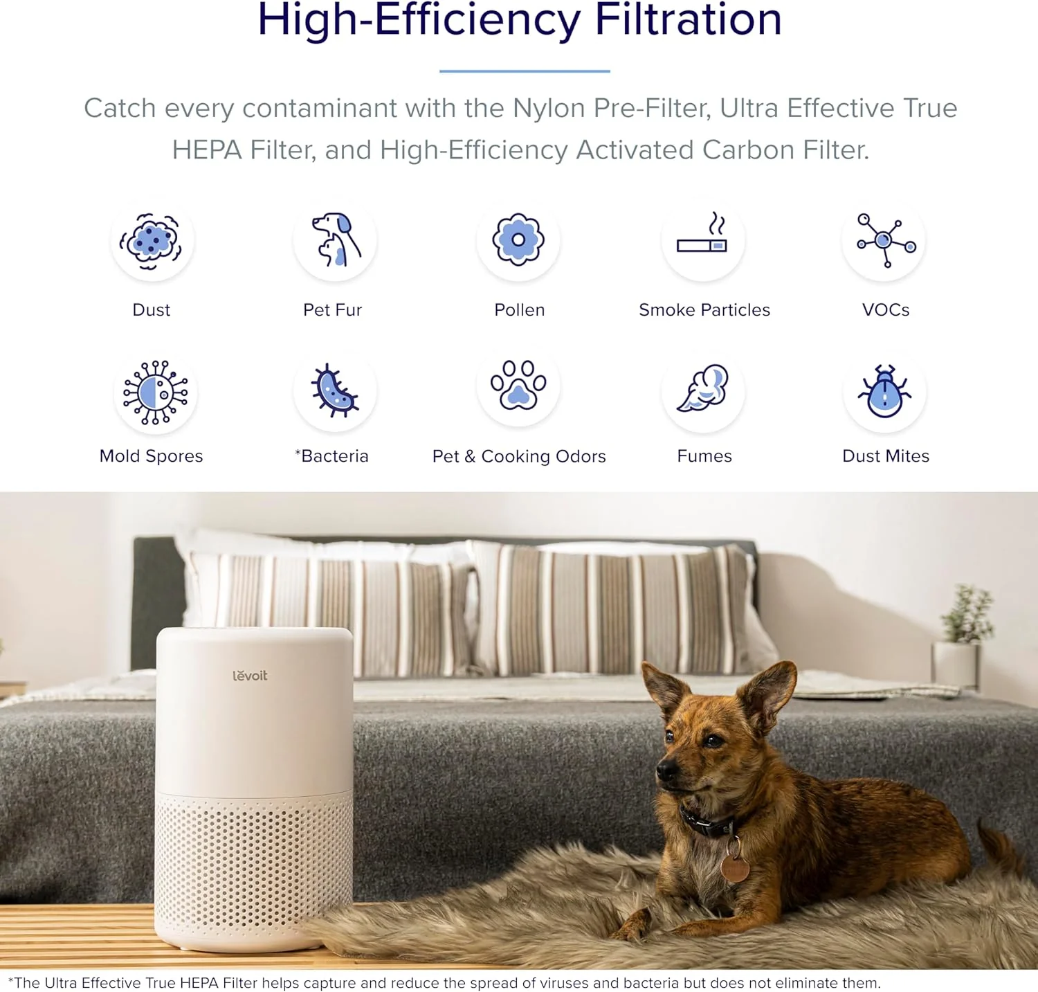 Levoit Core 200S Smart Air Purifier - Image 6