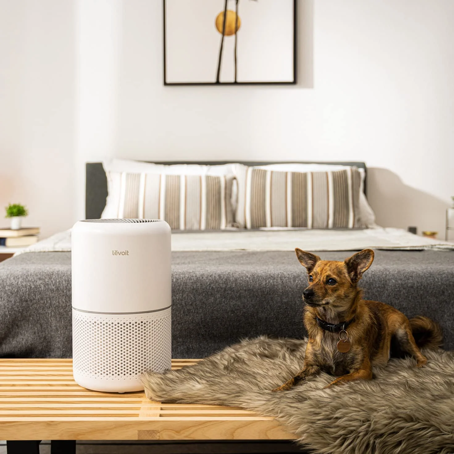 Levoit Core 300 Air Purifier - Image 9