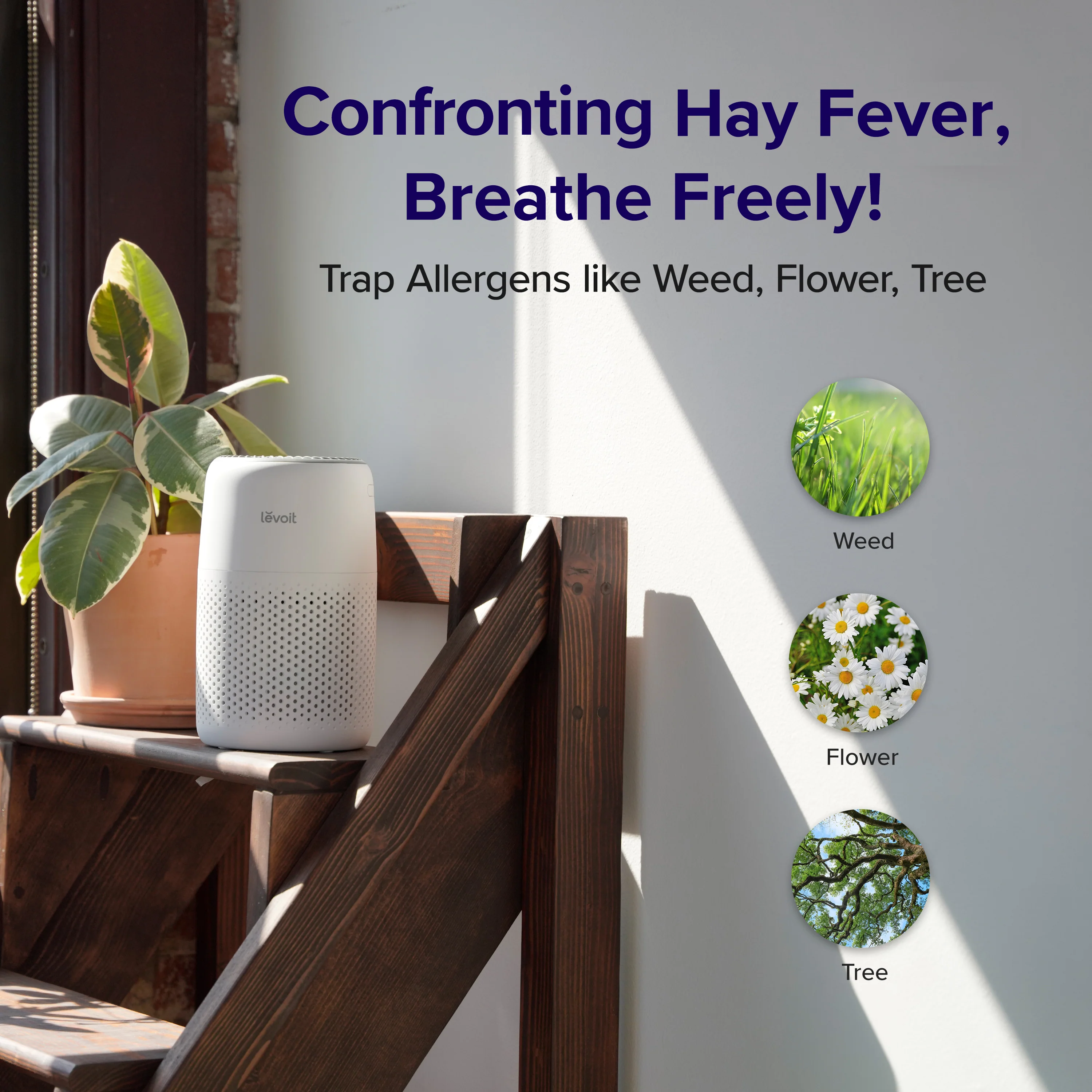 Levoit Core Mini Air Purifier - Image 10