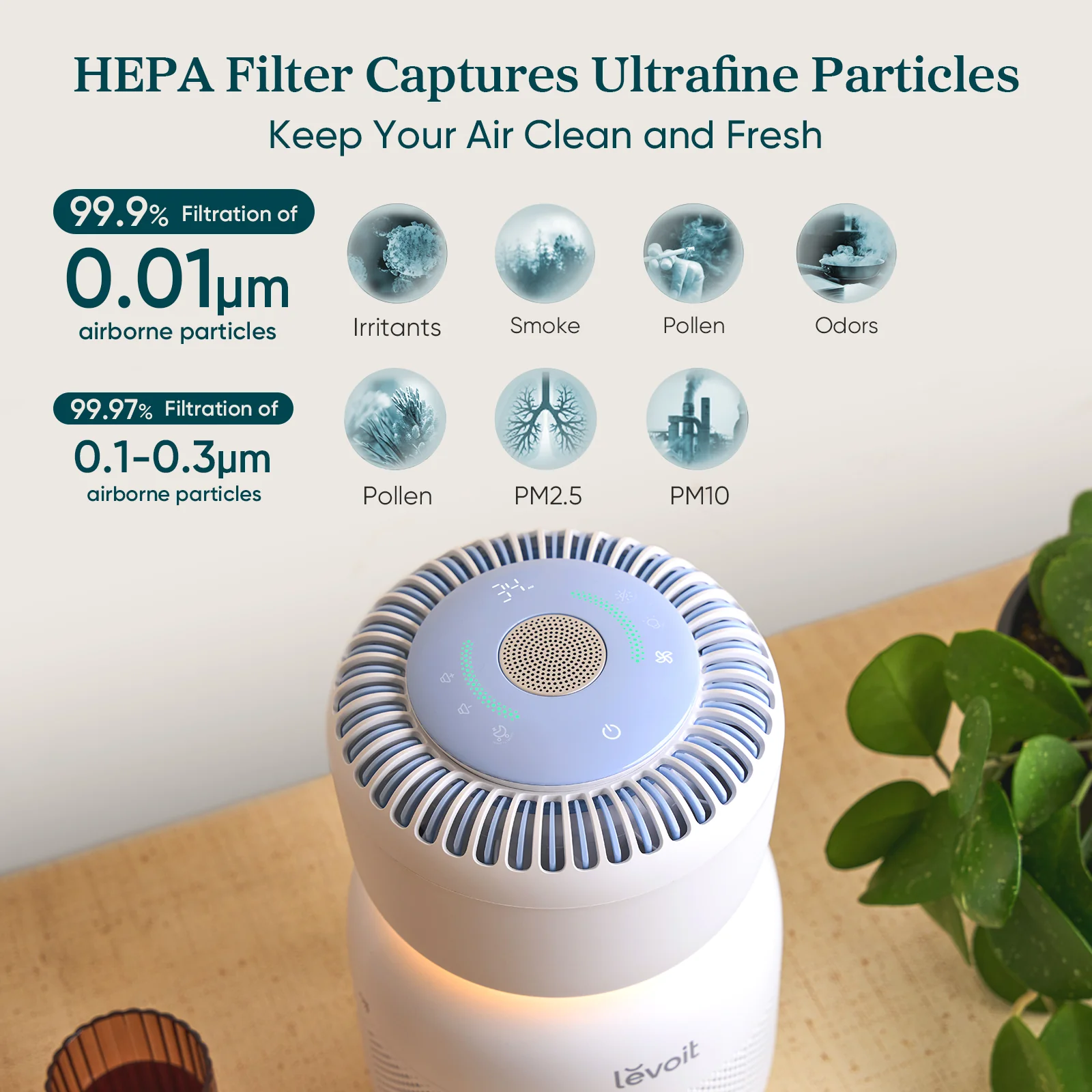 Levoit Sprout Air Purifier - Image 4
